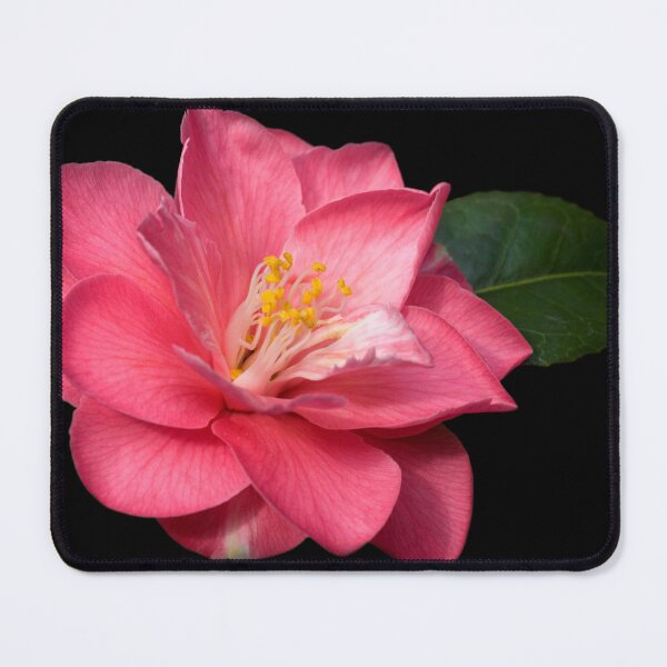 Item preview, Camellia designed and sold by Krys Bailey.