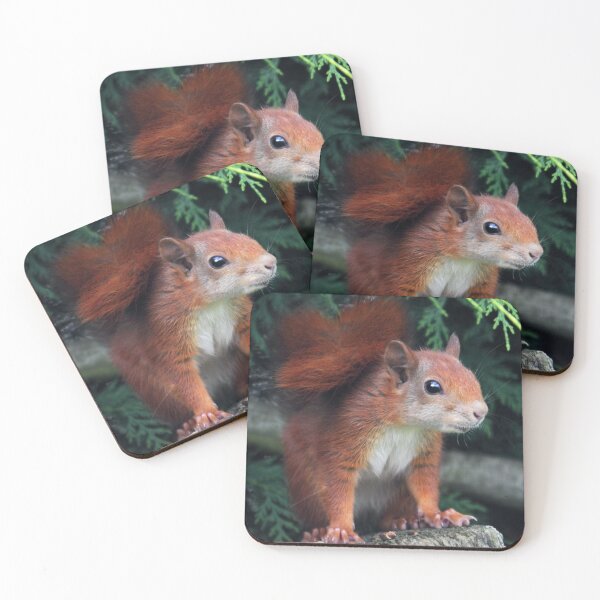 Item preview, Squirrel Nutkin designed and sold by Krys Bailey.