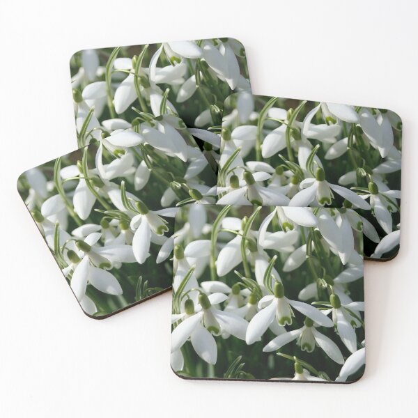 Item preview, Snowdrops designed and sold by Calidris Fotografie Steffi & Ben Köppler.