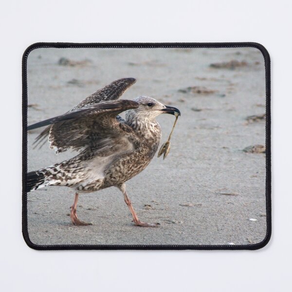 Item preview, Better get going... designed and sold by Calidris Fotografie Steffi & Ben Köppler.