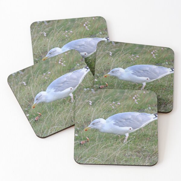 Item preview, European herring gull with a Crab designed and sold by Calidris Fotografie Steffi & Ben Köppler.