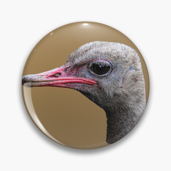 Item preview, Ostrich head designed and sold by Dalyndigital Photography.