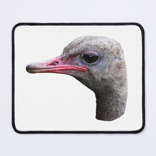 Item preview, Ostrich head designed and sold by Dalyndigital Photography.