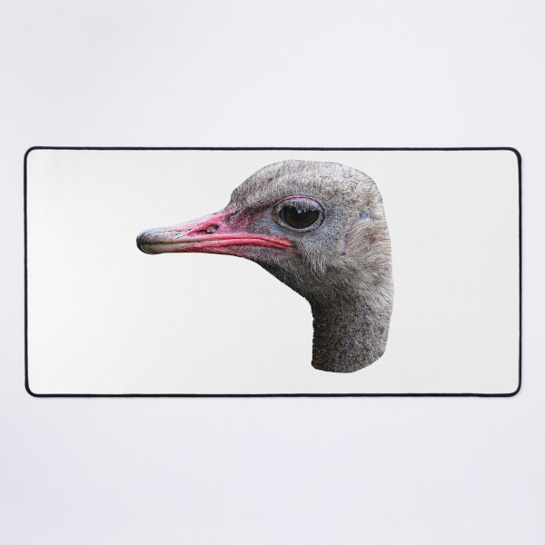 Item preview, Ostrich head designed and sold by Dalyndigital Photography.