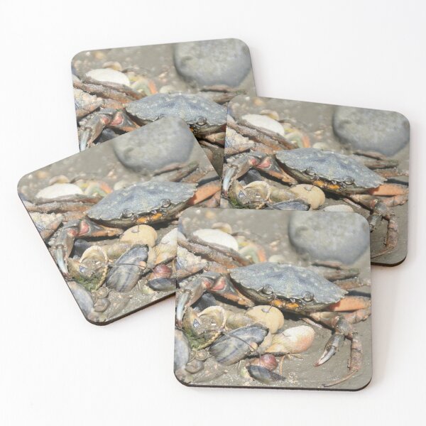 Item preview, The Crab designed and sold by Calidris Fotografie Steffi & Ben Köppler.