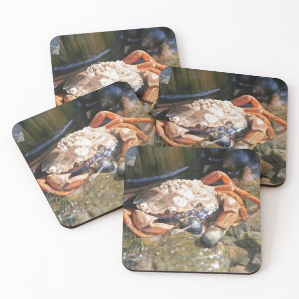 Item preview, Another Crab designed and sold by Calidris Fotografie Steffi & Ben Köppler.