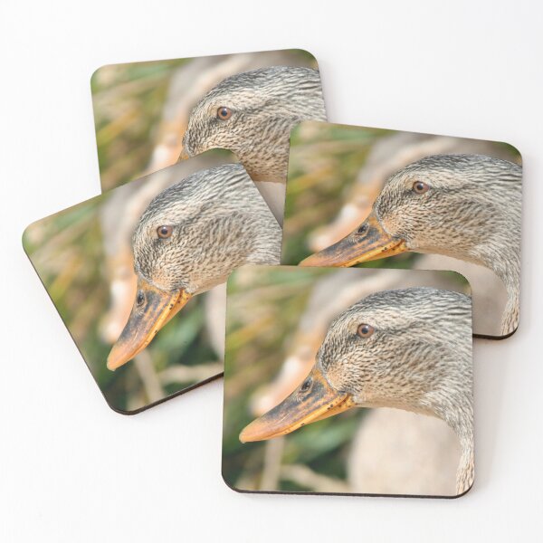 Item preview, Portrait of a Mallard designed and sold by Calidris Fotografie Steffi & Ben Köppler.