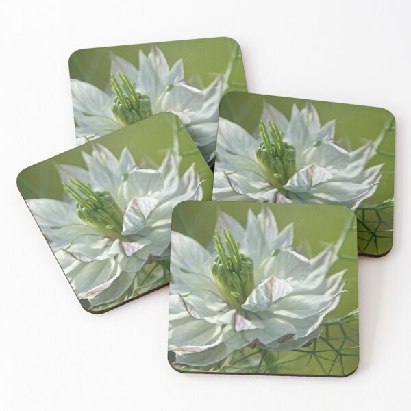 Item preview, Love in a Mist designed and sold by Calidris Fotografie Steffi & Ben Köppler.