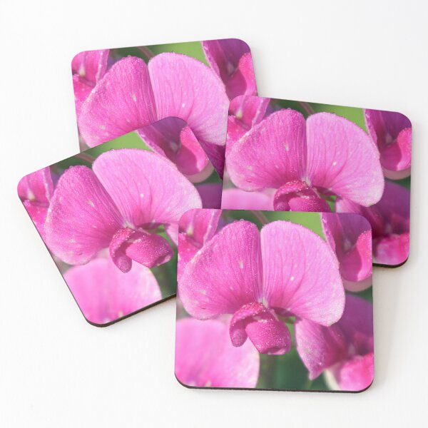 Item preview, Garden vetch designed and sold by Calidris Fotografie Steffi & Ben Köppler.