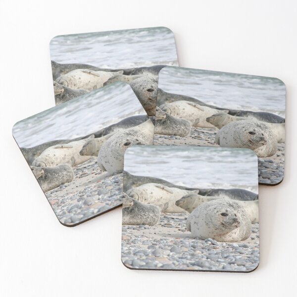Item preview, Seal designed and sold by Calidris Fotografie Steffi & Ben Köppler.