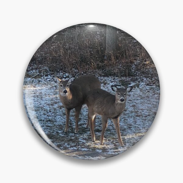 Item preview, White tail deer designed and sold by Phoebew03.