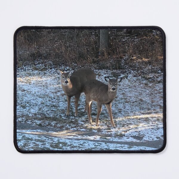 Item preview, White tail deer designed and sold by Phoebew03.