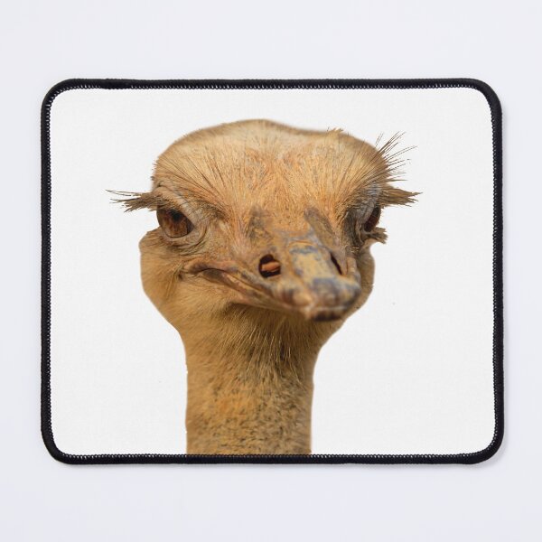 Item preview, Ostrich portrait designed and sold by Dalyndigital Photography.