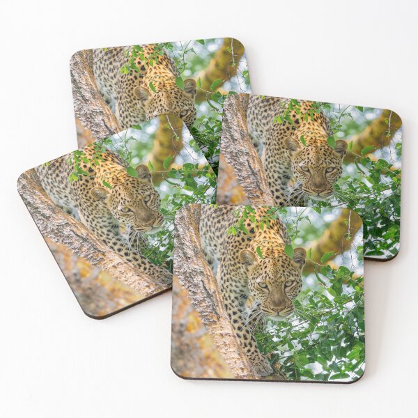 Item preview, Leopard up the Tree designed and sold by Lee Wilson.