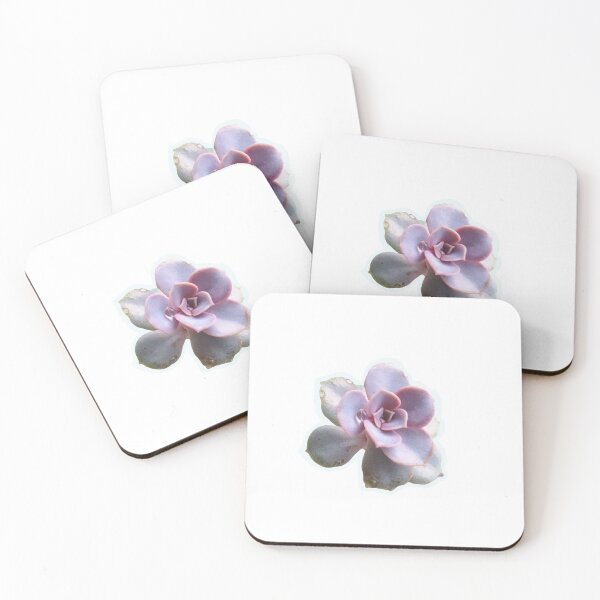 Item preview, Succulent  designed and sold by vanessaxox3.