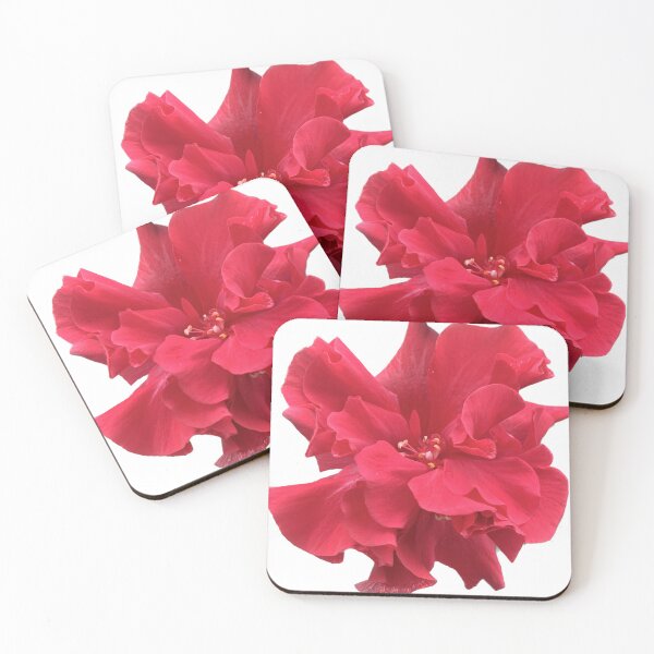 Item preview, red multiple layer hibiscus flowers Isolated, Symbol of the tropics and sunny weather designed and sold by pipikijung.