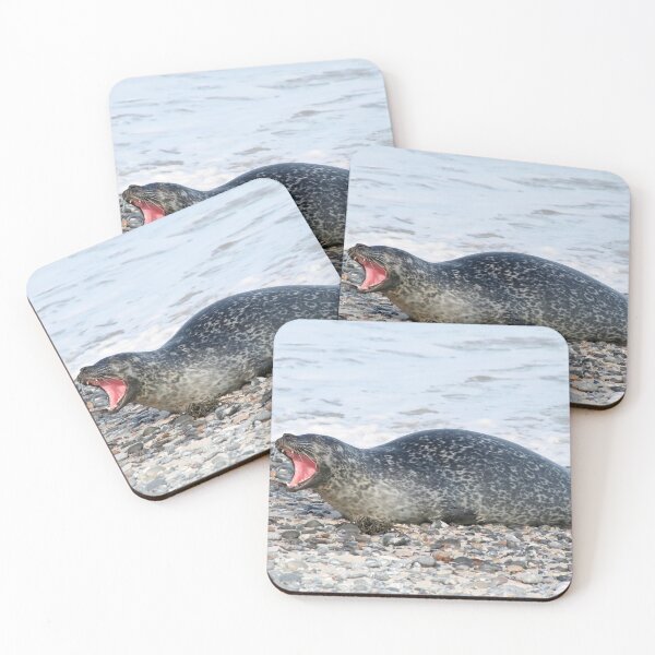 Item preview, See my teeth? designed and sold by Calidris Fotografie Steffi & Ben Köppler.