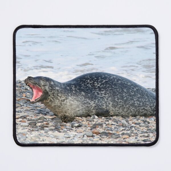 Item preview, See my teeth? designed and sold by Calidris Fotografie Steffi & Ben Köppler.