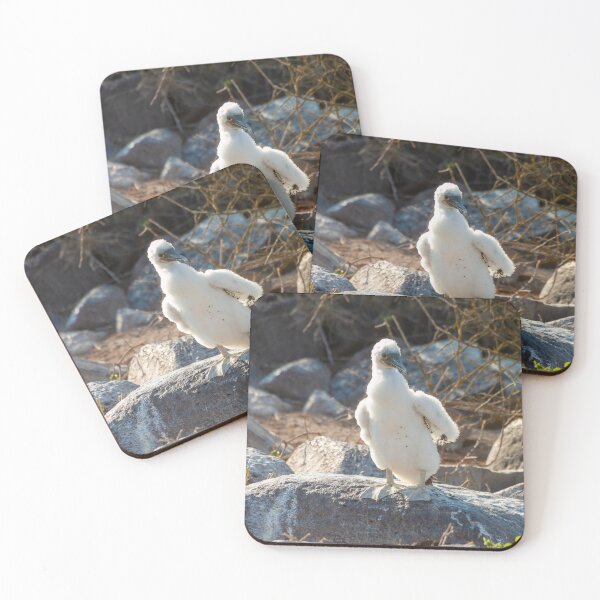 Item preview, Young Bird Covered in Downy Feathers designed and sold by SafariByMarisa.