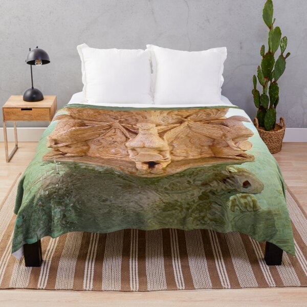Item preview, Fountain at Alcobaça Monastery. Portugal designed and sold by Tereza Pilar  Art.