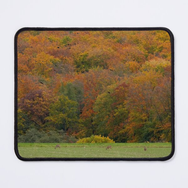 Item preview, Autumn landscape, autumn in the Taunus designed and sold by Binas-gallery.