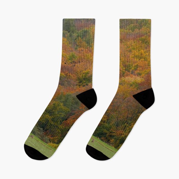 Item preview, Autumn landscape, autumn in the Taunus designed and sold by Binas-gallery.
