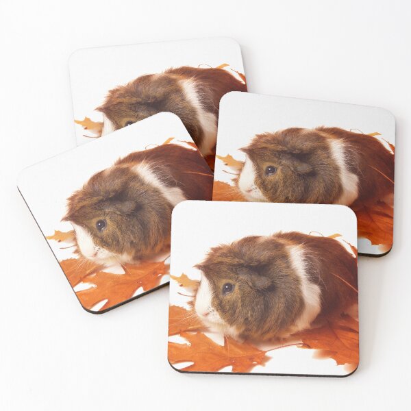Item preview, Guinea pig amidst autumn leaves on white background designed and sold by bailey-cooper.
