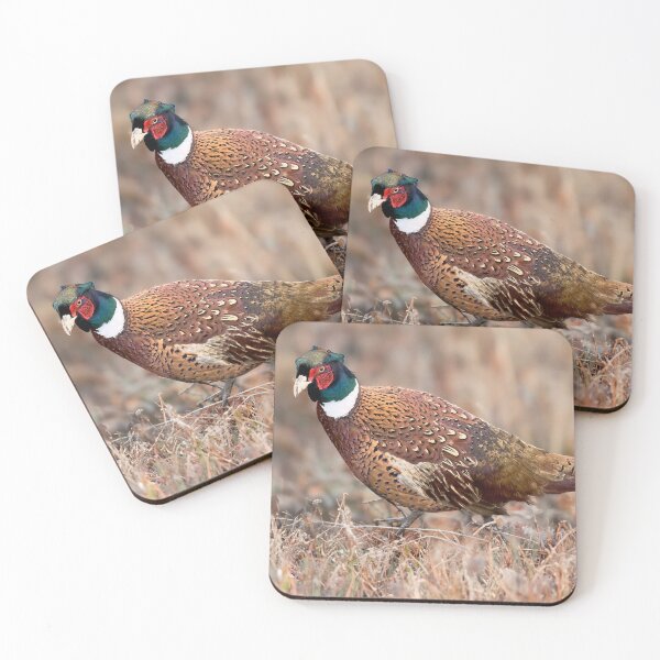 Item preview, Pheasant in Autumn designed and sold by derekbeattie.