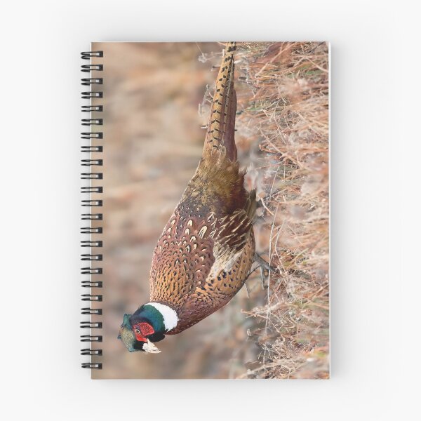 Item preview, Pheasant in Autumn designed and sold by derekbeattie.