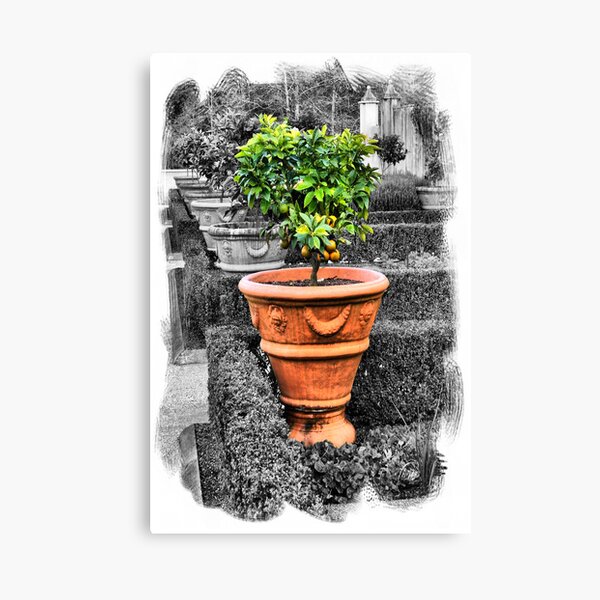 Item preview, Tuscan Garden designed and sold by Globalphotos.