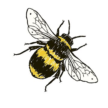 Imagen de la obra Abeja pequeña de jessadoodle