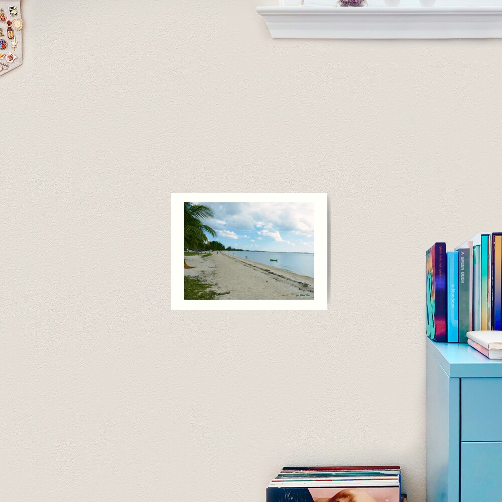 Afternoon Stroll Art Print