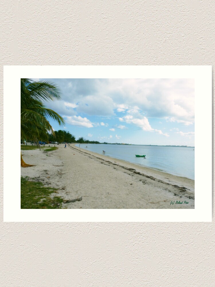 Alternate view of Afternoon Stroll Art Print