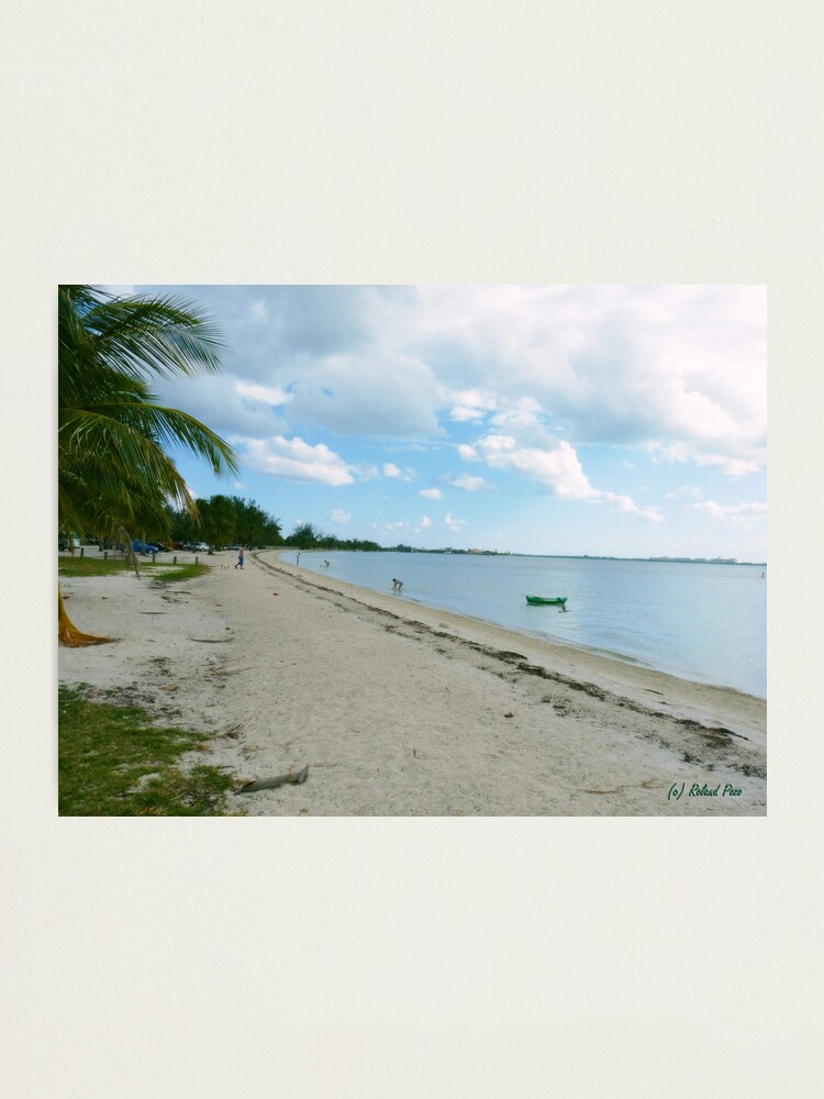 Alternate view of Afternoon Stroll Photographic Print