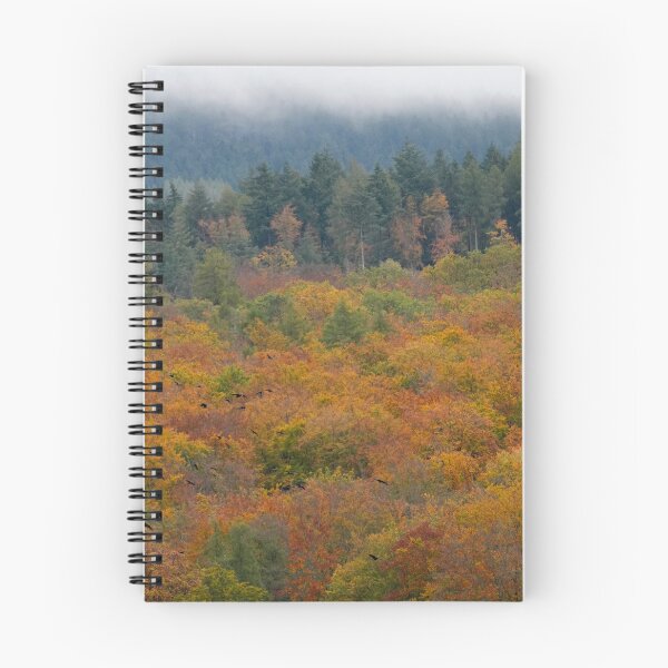 Item preview, Version 2 of autumn landscape, autumn in the Taunus designed and sold by Binas-gallery.
