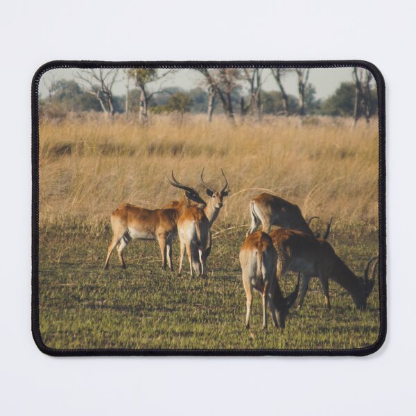 Item preview, Gazelles in the Wild poster designed and sold by Made-by-bella.
