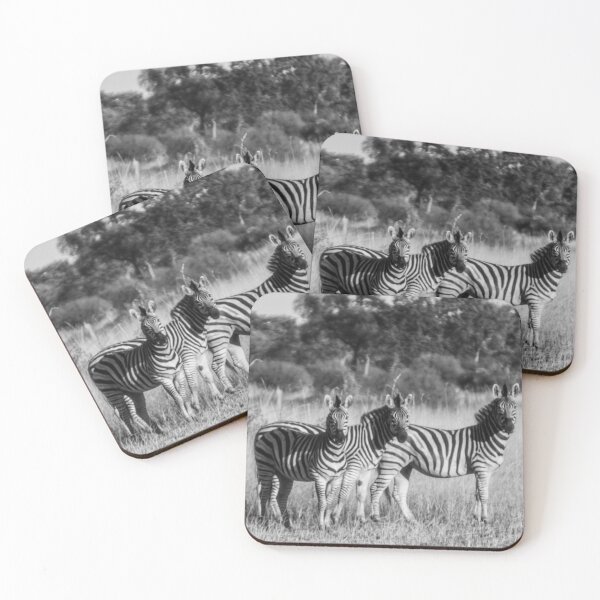 Item preview, Three Wild Zebras in Black and White designed and sold by Made-by-bella.