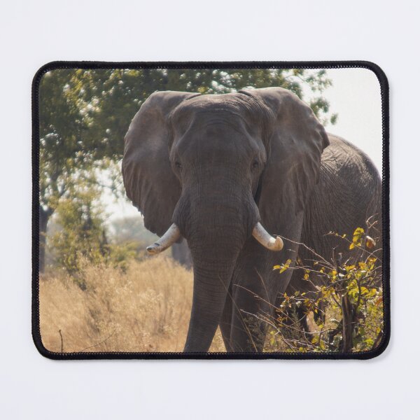 Item preview, Elephant coming through the Bush Poster designed and sold by Made-by-bella.