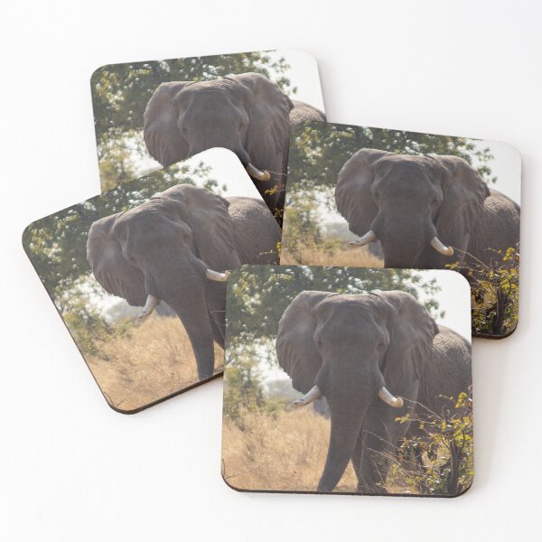 Item preview, Elephant coming through the Bush Poster designed and sold by Made-by-bella.