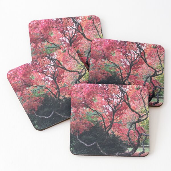 Item preview, Westonbirt Arboretum. Autumn trees. Natures latest show! designed and sold by Angela Haig-Harrison.