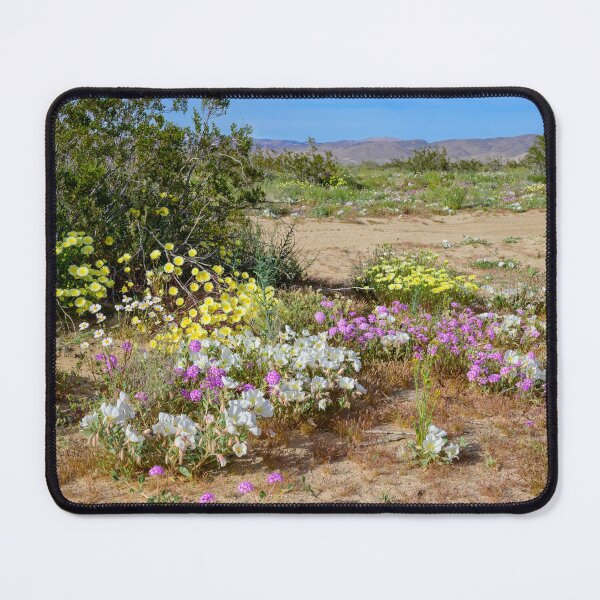 Item preview, Painted Desert 7285 - Johnson Valley, California designed and sold by AlsknMommaBear2.