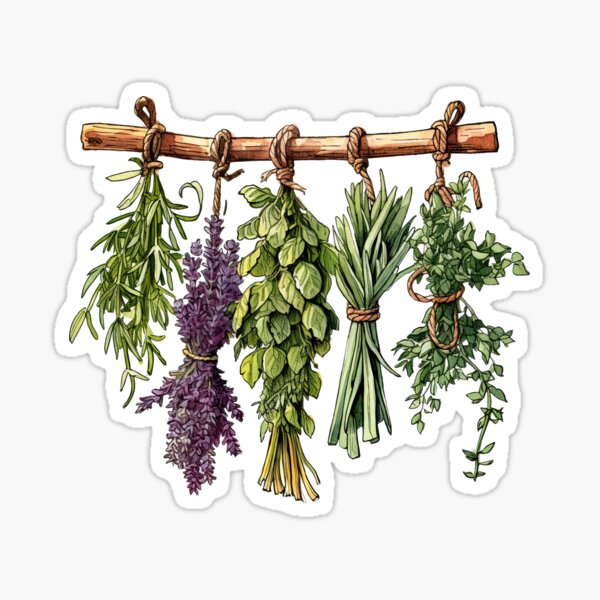 Item preview, Dried Herbs! designed and sold by Neehovv.