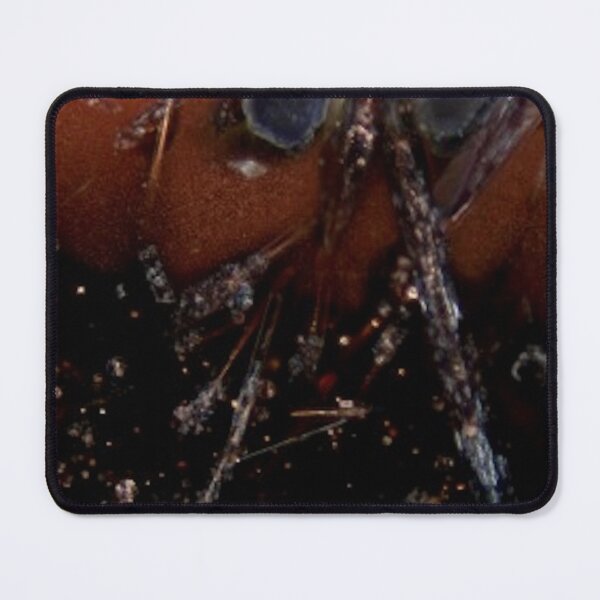 Item preview, Bronze Slag #4 designed and sold by StudioEmilia.