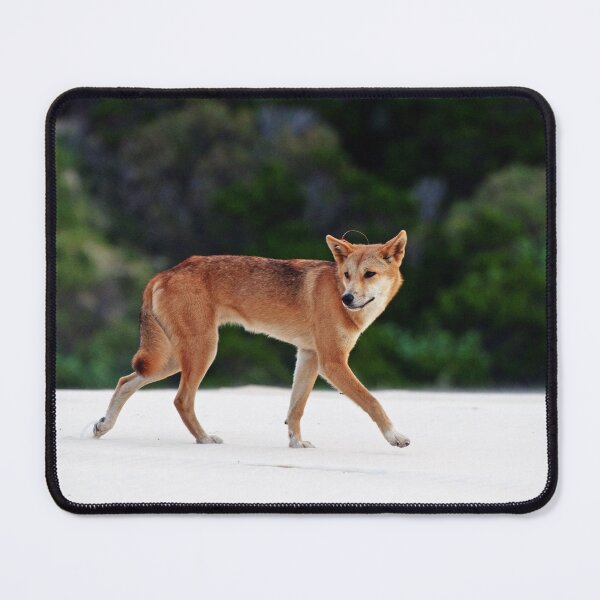 Item preview, Iconic Fraser Island designed and sold by Ozjanette90.