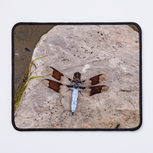 Item preview, The Perfect Gift For A Dragonfly Lover~The Dragonfly has been a symbol of happiness, new beginnings and change for many centuries.The Dragonfly means hope, change, and love. designed and sold by MoreEZUSA-Here.