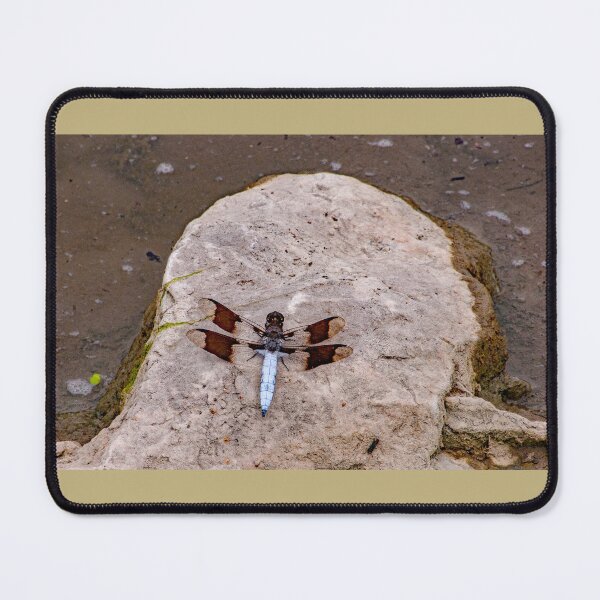 Item preview, Give A Dragonfly Kiss To Your Lover: Common Whitetail ~The dragonfly symbolizes wisdom, change, transformation, light and adaptability in life. designed and sold by MoreEZUSA-Here.