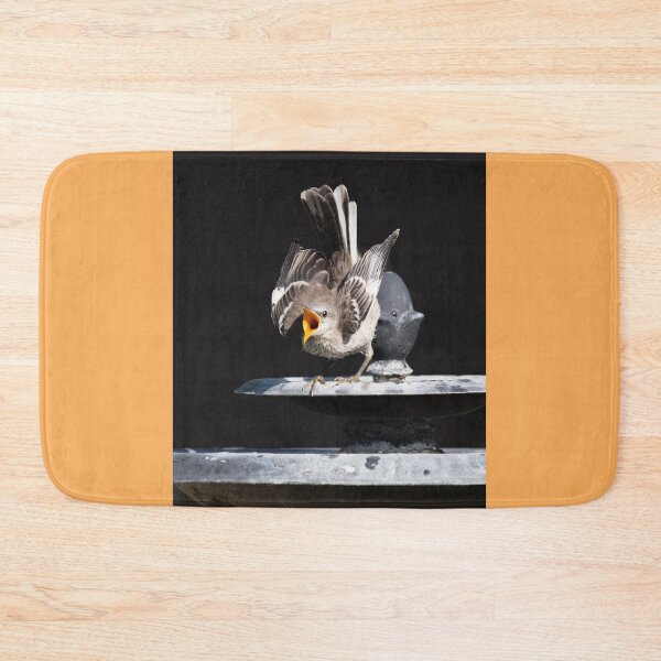 Item preview, Fledgling Begging designed and sold by CarolM.