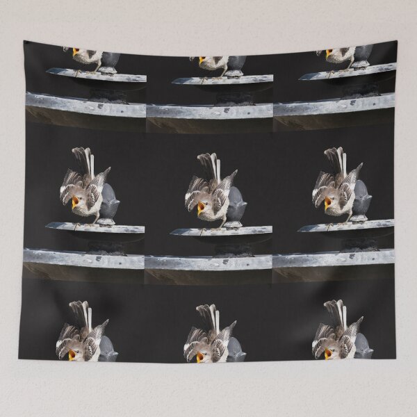 Item preview, Fledgling Begging designed and sold by CarolM.