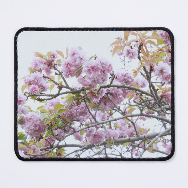 Item preview, Cherry Blossom designed and sold by Kim Chi Thai.