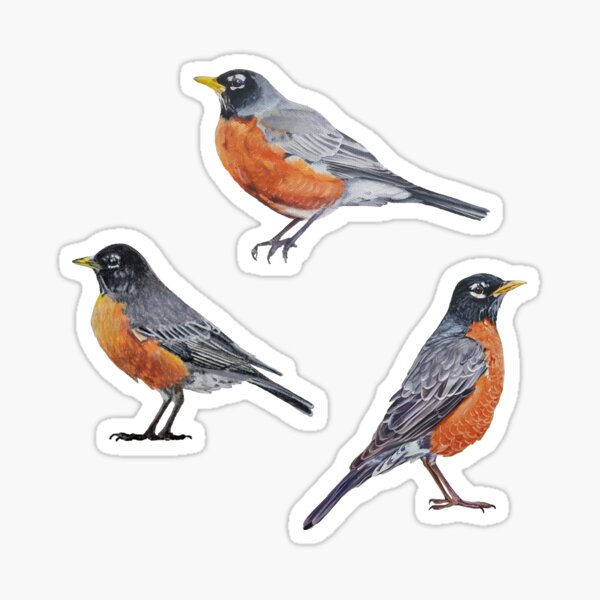 Item preview, American Robin Set designed and sold by Emily Bickell.